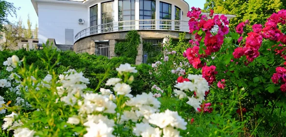 Гостевой дом у моря — как найти с хорошими отзывами