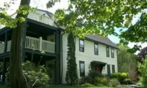 Как соседи по дому стали частью отпуска