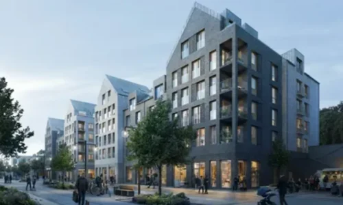 Истории соседей по гостевому дому: неожиданные знакомства